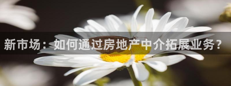 新宝5为啥开：新市场：如何通过房地产中介拓展业务？