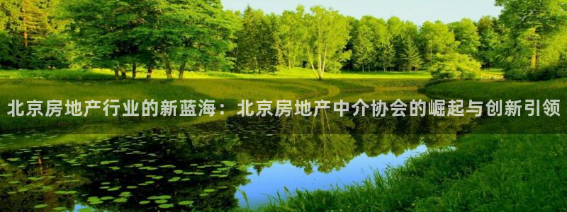 新宝cR一5：北京房地产行业的新蓝海：北京房地产中介协会的崛