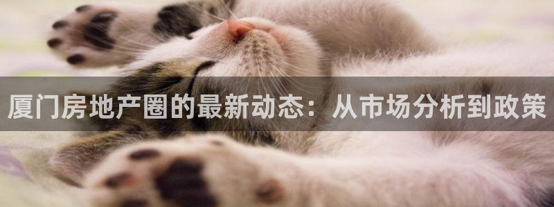 新宝5上来77542：厦门房地产圈的最新动态：从市场分析到政