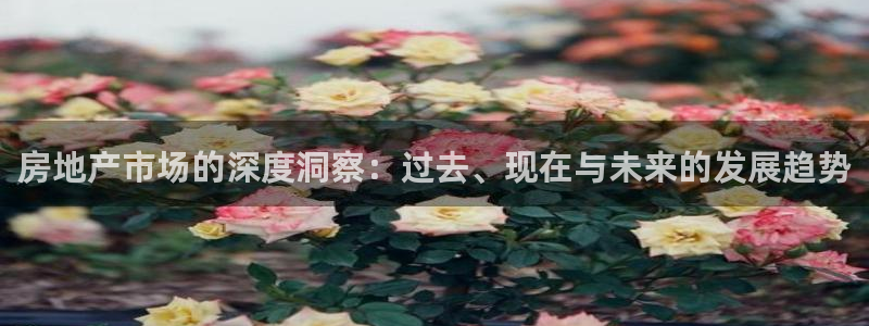 新宝5如何注册登录：房地产市场的深度洞察：过去、现在与未来的