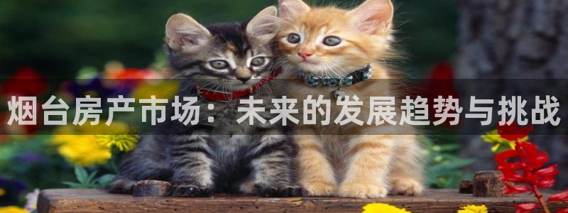 新宝集团新宝5：烟台房产市场：未来的发展趋势与挑战