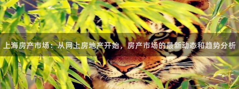 新宝5测登录：上海房产市场：从网上房地产开始，房产市场的最新