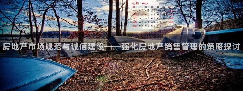 新宝股东张听2 5 5：房地产市场规范与诚信建设——强化房地