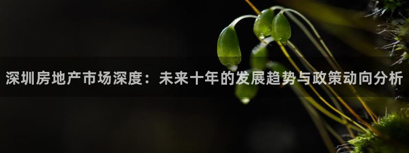 5新宝：深圳房地产市场深度：未来十年的发展趋势与政策动向分析