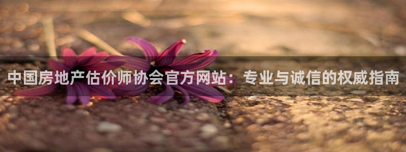 新宝5娱乐方：中国房地产估价师协会官方网站：专业与诚信的权威