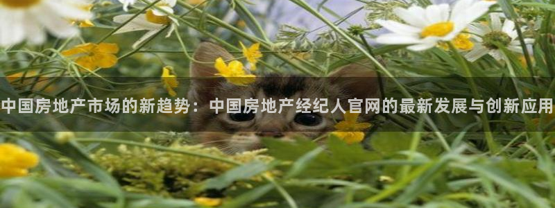 新宝5线路：中国房地产市场的新趋势：中国房地产经纪人官网的最