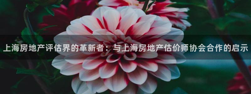 新宝股东王听2 5 5