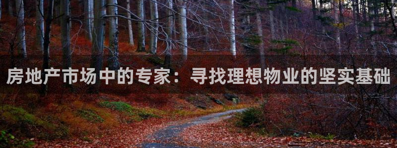 新5宝：房地产市场中的专家：寻找理想物业的坚实基础