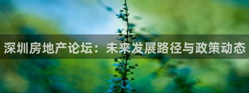 新宝5公司：深圳房地产论坛：未来发展路径与政策动态