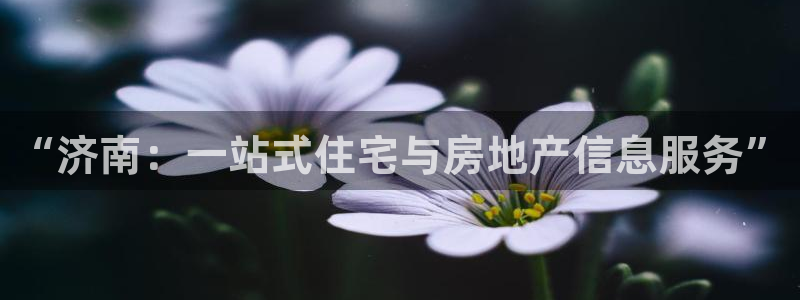 新宝5登录入口网址：“济南：一站式住宅与房地产信息服务”
