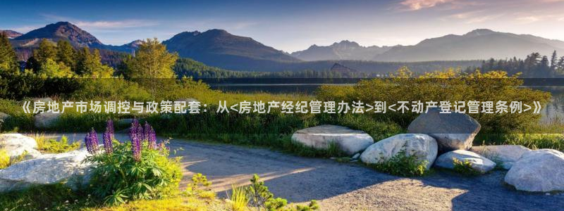 新宝5官方登录入口：《房地产市场调控与政策配套：从<房地产经