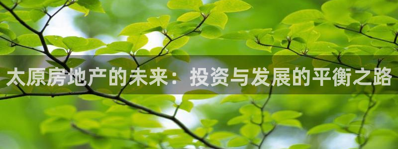 新宝5线路登录：太原房地产的未来：投资与发展的平衡之路