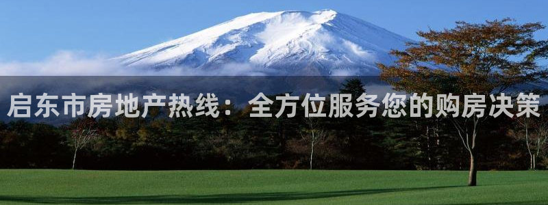 新宝5彩票娱乐平台：启东市房地产热线：全方位服务您的购房决策