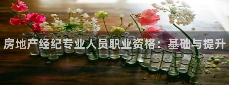 新宝5 - 测速登陆：房地产经纪专业人员职业资格：基础与提升
