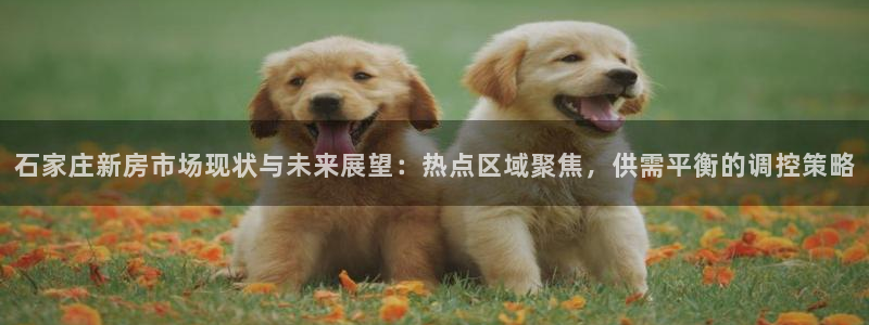 新宝5官网67五壹叁八：石家庄新房市场现状与未来展望：热点区