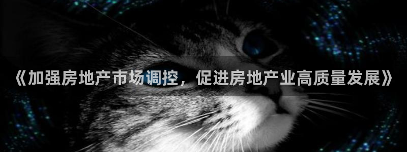 新宝5黑彩：《加强房地产市场调控，促进房地产业高质量发展》