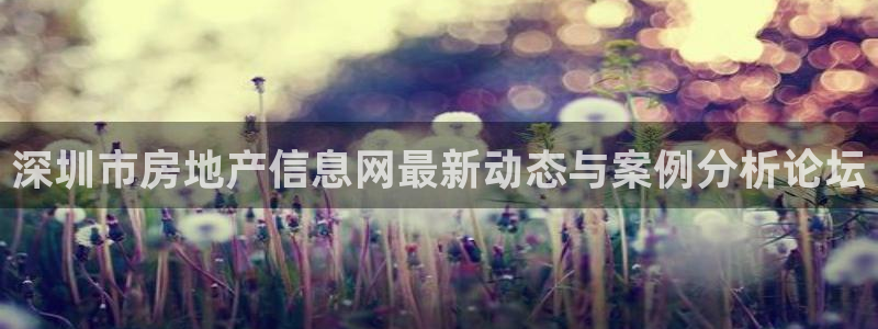 新宝5下载网址：深圳市房地产信息网最新动态与案例分析论坛