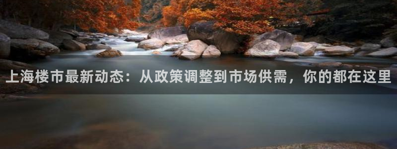新宝5手机版：上海楼市最新动态：从政策调整到市场供需，你的都