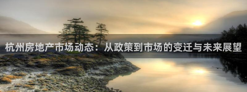 新宝5公司：杭州房地产市场动态：从政策到市场的变迁与未来展望