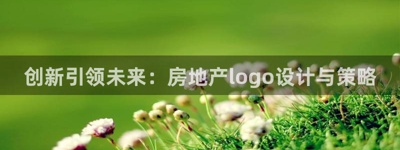 新宝5招商：创新引领未来：房地产logo设计与策略