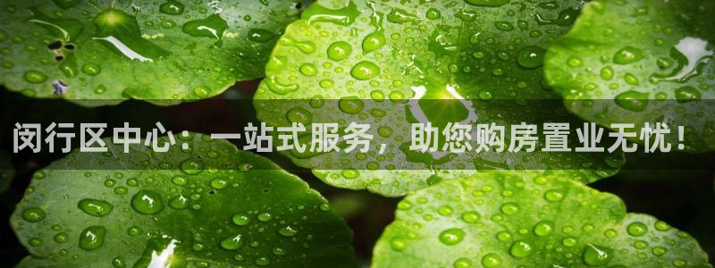 新宝5彩票是正规平台吗：闵行区中心：一站式服务，助您购房置业