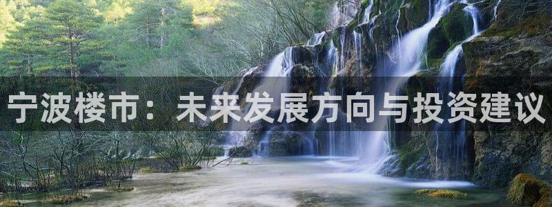 新宝堂新会陈皮5年：宁波楼市：未来发展方向与投资建议