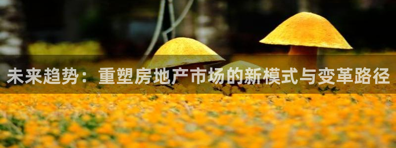 新宝5户端：未来趋势：重塑房地产市场的新模式与变革路径