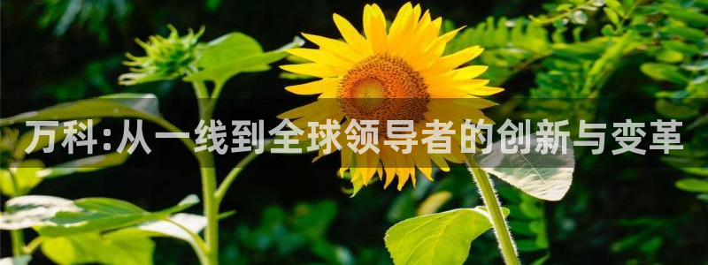 新宝5培训：万科:从一线到全球领导者的创新与变革