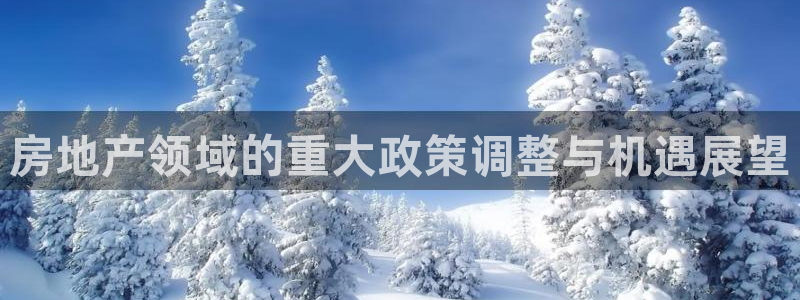 新宝5平台咋样