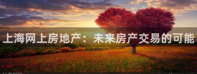 新宝注5册：上海网上房地产：未来房产交易的可能