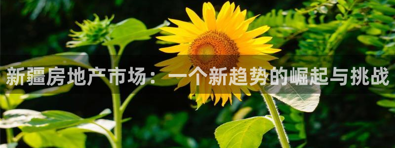 新宝5娱乐都：新疆房地产市场：一个新趋势的崛起与挑战