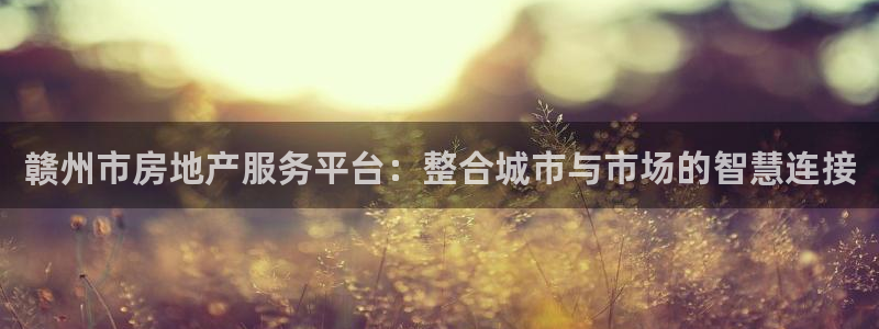 新宝5登录测速中心：赣州市房地产服务平台：整合城市与市场的智