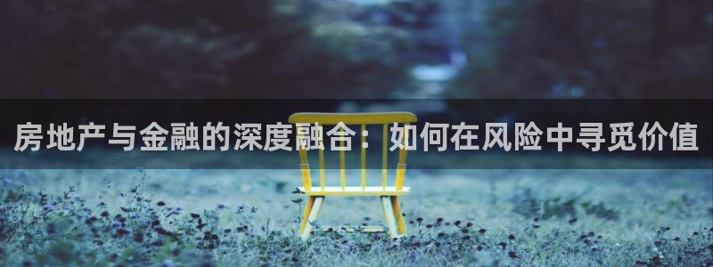 新宝5娱乐招商：房地产与金融的深度融合：如何在风险中寻觅价值