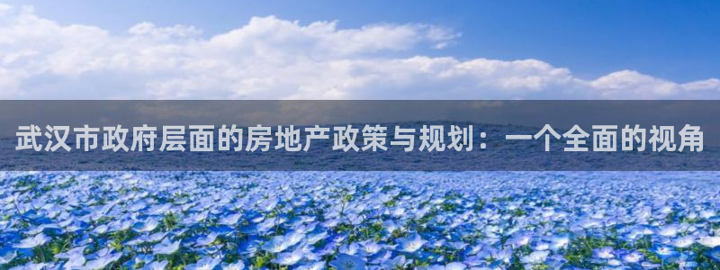新宝5娱乐学：武汉市政府层面的房地产政策与规划：一个全面的视