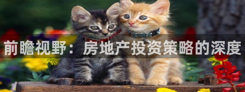 新宝5什么时候上市：前瞻视野：房地产投资策略的深度
