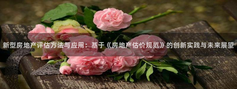 新宝5 唯一：新型房地产评估方法与应用：基于《房地产估价规范