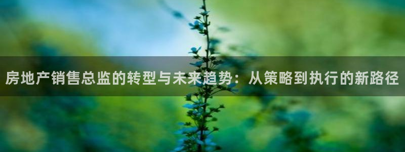 新宝5线路：房地产销售总监的转型与未来趋势：从策略到执行的新