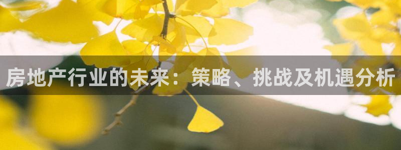 新宝5主管：房地产行业的未来：策略、挑战及机遇分析
