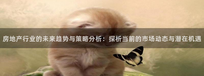 新宝5娱乐代理：房地产行业的未来趋势与策略分析：探析当前的市