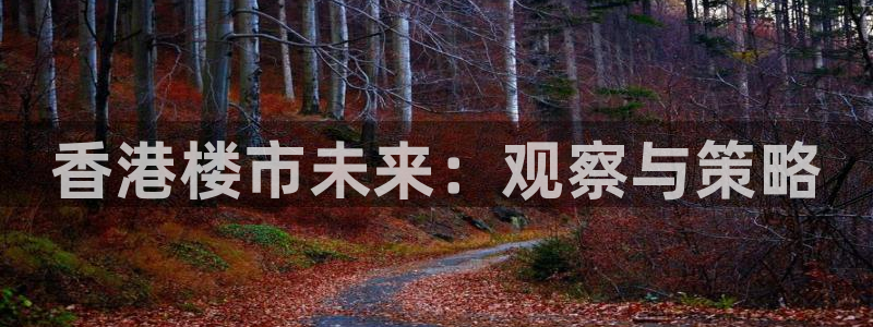 新宝奇迹GG5：香港楼市未来：观察与策略