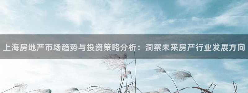 新宝5 注册：上海房地产市场趋势与投资策略分析：洞察未来房产