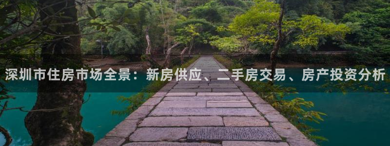 新宝5-：深圳市住房市场全景：新房供应、二手房交易、房产投资