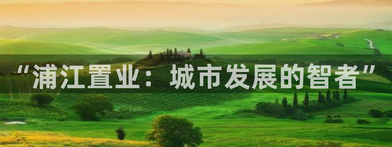 新宝5后：“浦江置业：城市发展的智者”