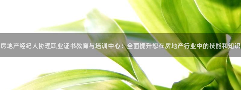 新宝5安卓版：房地产经纪人协理职业证书教育与培训中心：全面提