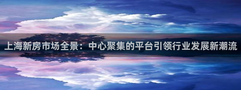 新宝5巅峰：上海新房市场全景：中心聚集的平台引领行业发展新潮