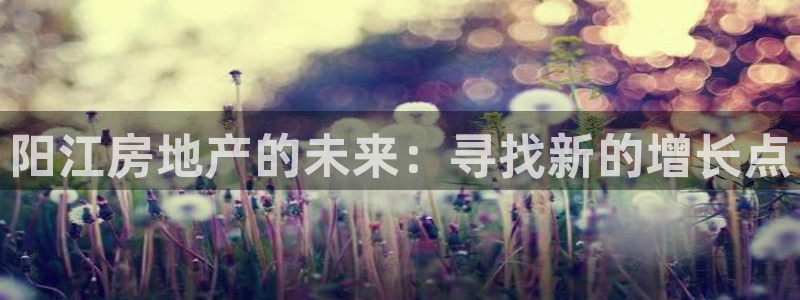 新宝5登陆地址：阳江房地产的未来：寻找新的增长点