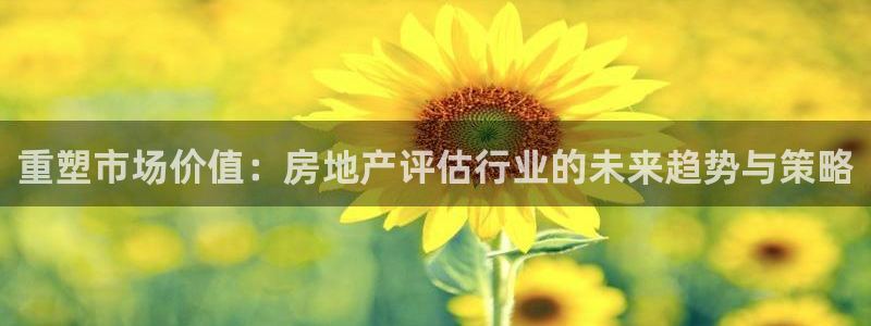 新宝5电脑：重塑市场价值：房地产评估行业的未来趋势与策略
