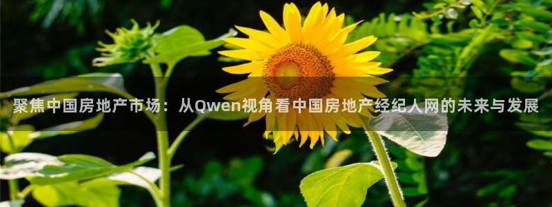 新宝5-：聚焦中国房地产市场：从Qwen视角看中国房地产经纪