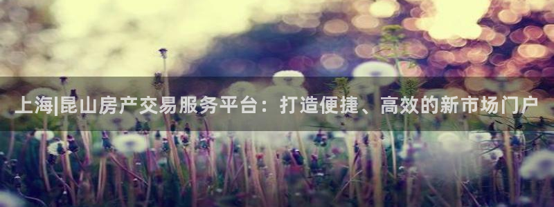新宝5怎么下载到桌面：上海|昆山房产交易服务平台：打造便捷、