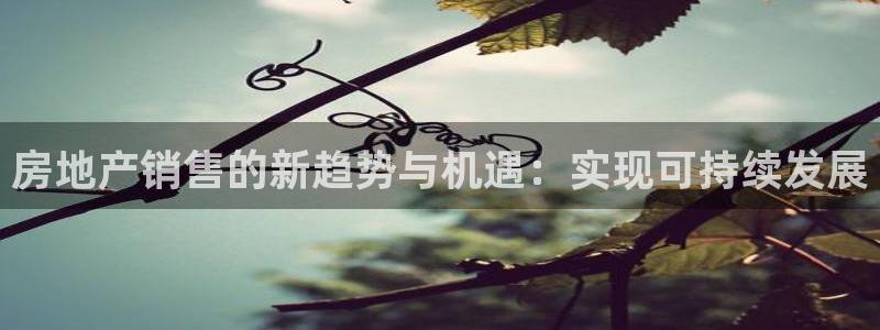 新宝5是谁：房地产销售的新趋势与机遇：实现可持续发展